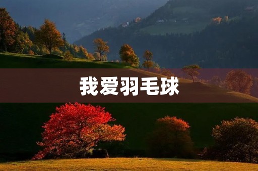 我爱羽毛球
