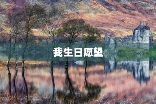 我生日愿望