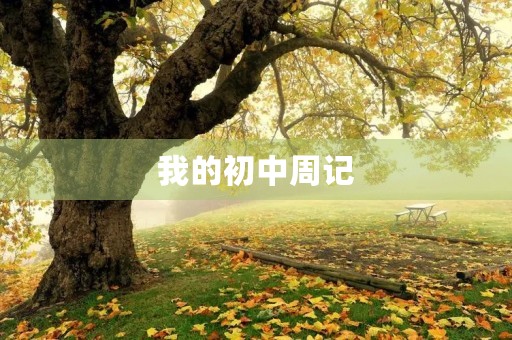 我的初中周记