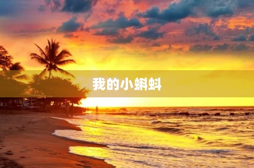 我的小蝌蚪 我的小蝌蚪