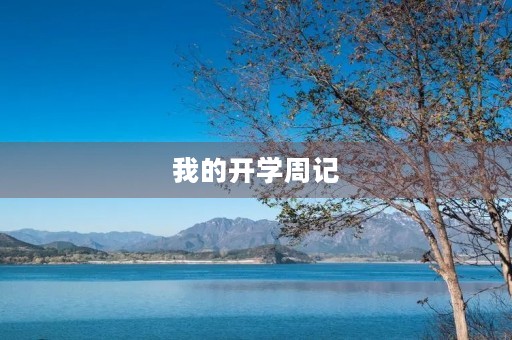 我的开学周记 我的开学周记