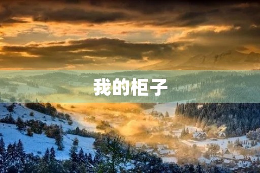 我的柜子 我的柜子