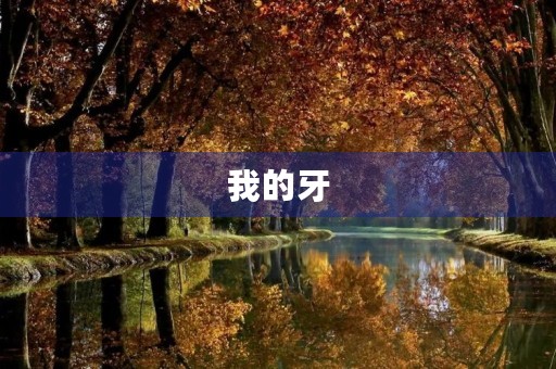 我的牙 我的牙