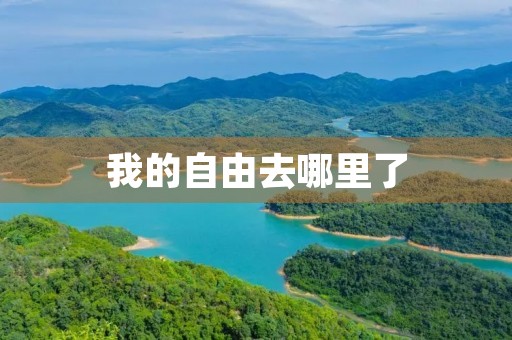 我的自由去哪里了