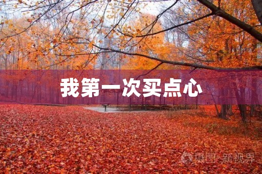 我第一次买点心 我第一次买点心