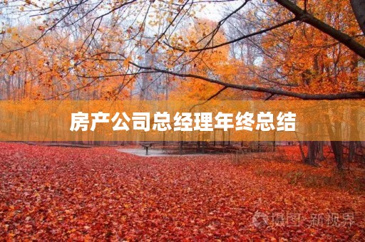 房产公司总经理年终总结