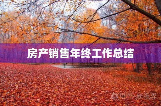 房产销售年终工作总结 房产销售年终工作总结
