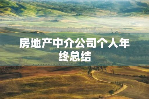 房地产中介公司个人年终总结