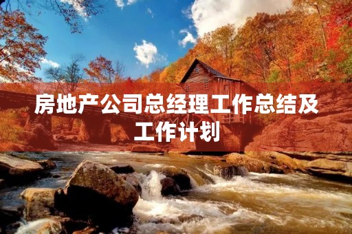 房地产公司总经理工作总结及工作计划