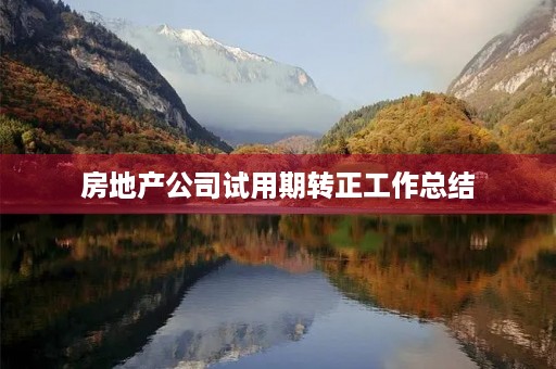 房地产公司试用期转正工作总结
