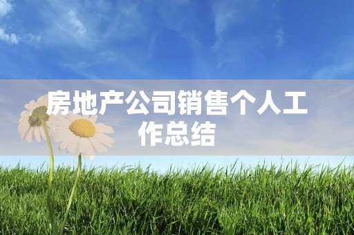 房地产公司销售个人工作总结 房地产公司销售个人工作总结