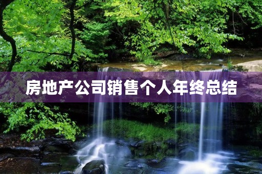 房地产公司销售个人年终总结