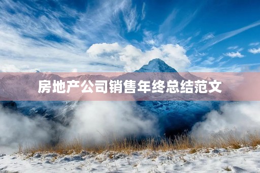 房地产公司销售年终总结范文