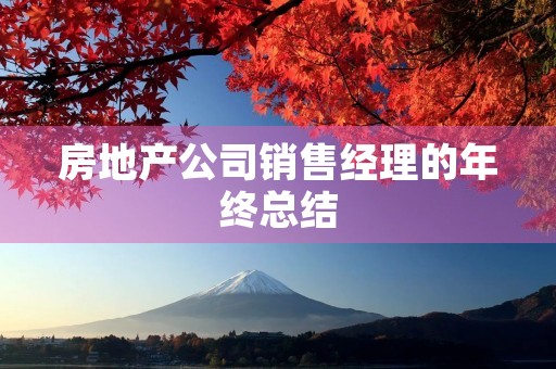 房地产公司销售经理的年终总结