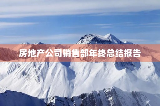 房地产公司销售部年终总结报告