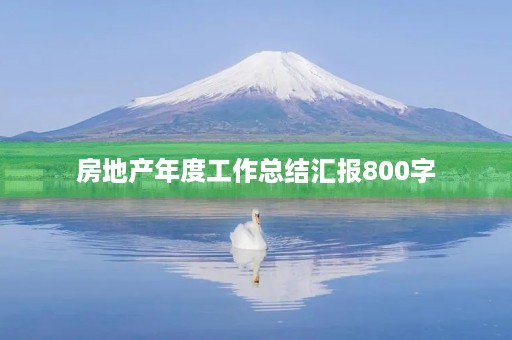 房地产年度工作总结汇报800字