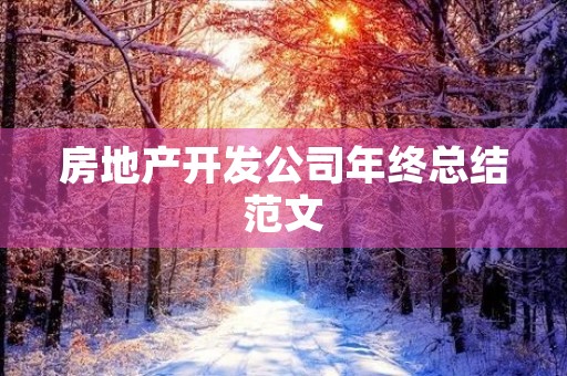 房地产开发公司年终总结范文