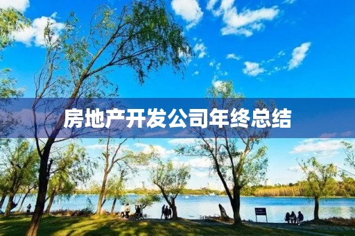 房地产开发公司年终总结