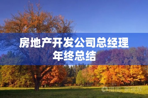 房地产开发公司总经理年终总结