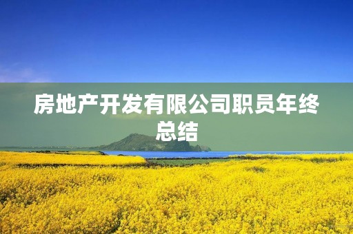 房地产开发有限公司职员年终总结