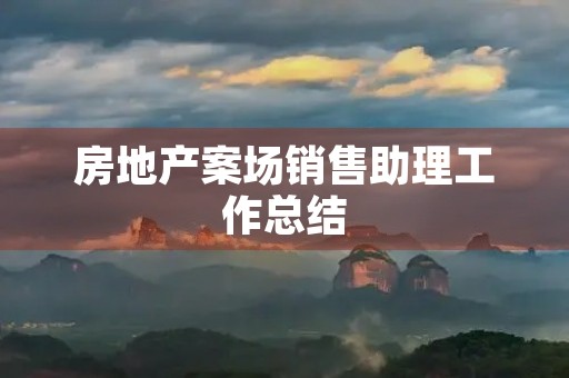 房地产案场销售助理工作总结