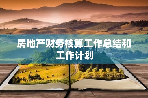 房地产财务核算工作总结和工作计划