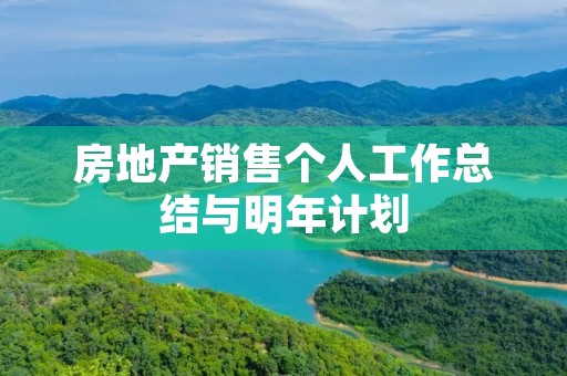 房地产销售个人工作总结与明年计划