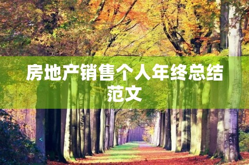 房地产销售个人年终总结范文