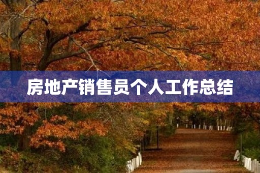 房地产销售员个人工作总结
