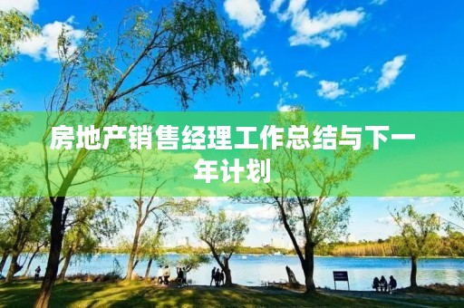 房地产销售经理工作总结与下一年计划