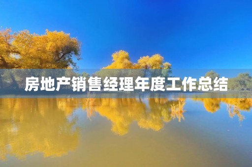 房地产销售经理年度工作总结