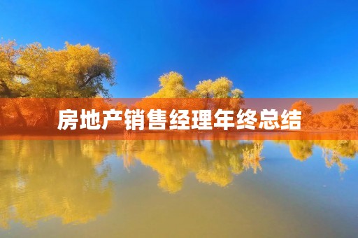 房地产销售经理年终总结