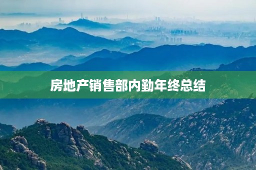 房地产销售部内勤年终总结