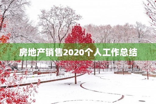 房地产销售2020个人工作总结