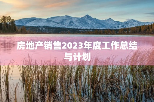 房地产销售2023年度工作总结与计划