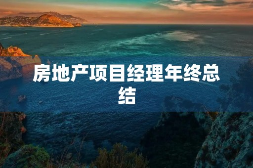 房地产项目经理年终总结