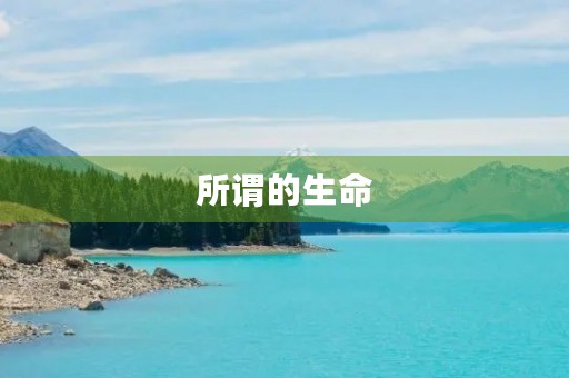 所谓的生命 所谓的生命