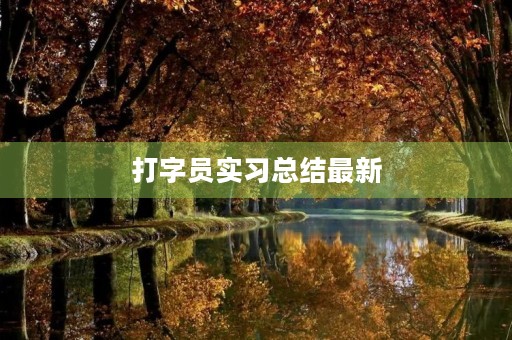 打字员实习总结最新