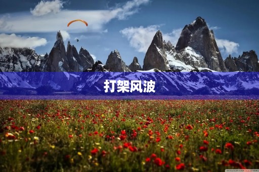 打架风波 打架风波