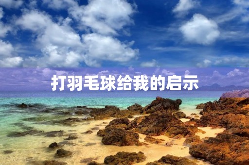 打羽毛球给我的启示 打羽毛球给我的启示