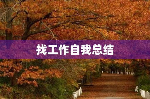 找工作自我总结