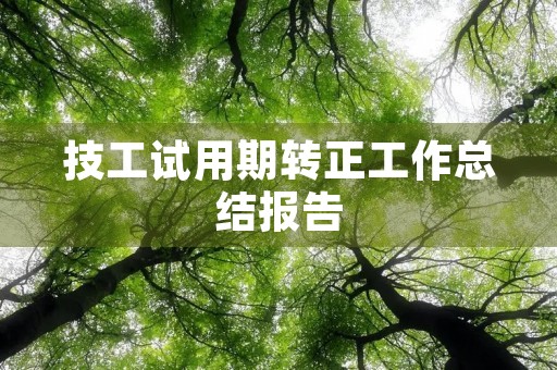 技工试用期转正工作总结报告