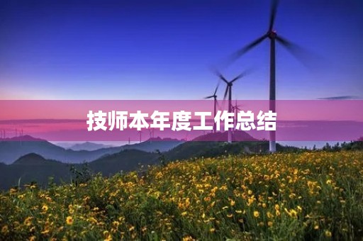 技师本年度工作总结
