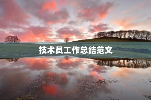 技术员工作总结范文