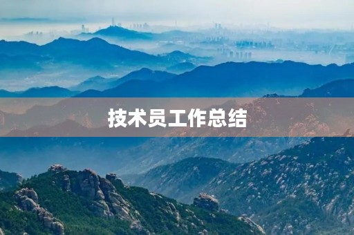 技术员工作总结（个人通用）