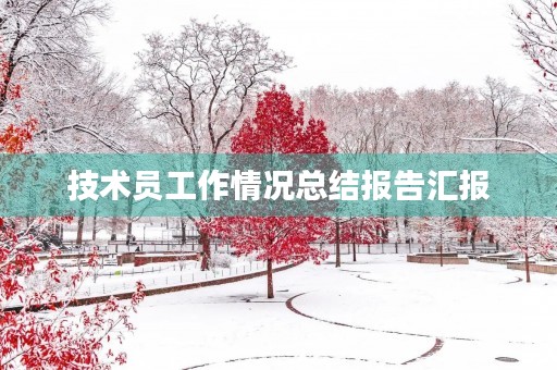 技术员工作情况总结报告汇报