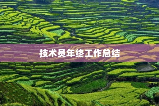 技术员年终工作总结