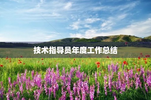 技术指导员年度工作总结 技术指导员年度工作总结