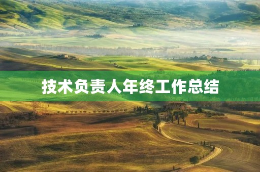 技术负责人年终工作总结 技术负责人年终工作总结