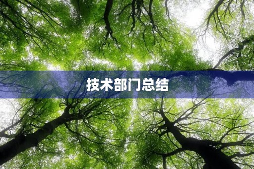 技术部门总结 技术部门总结